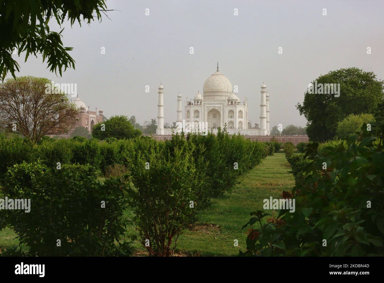 Taj Mahal seen from Mehtab Bagh in Agra, Uttar Pradesh, India, on May 04, 2022. Mehtab Bagh (meaning Moonlight Garden) is a charbagh complex north of the Taj Mahal complex and is perfectly aligned with the Taj Mahal on the opposite bank of the Yamuna River. (Photo by Creative Touch Imaging Ltd./NurPhoto) Stock Photo