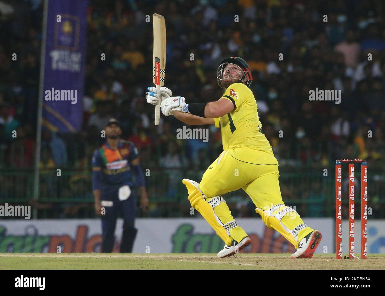 Australian captain aaron finch hi-res stock photography and images - Alamy