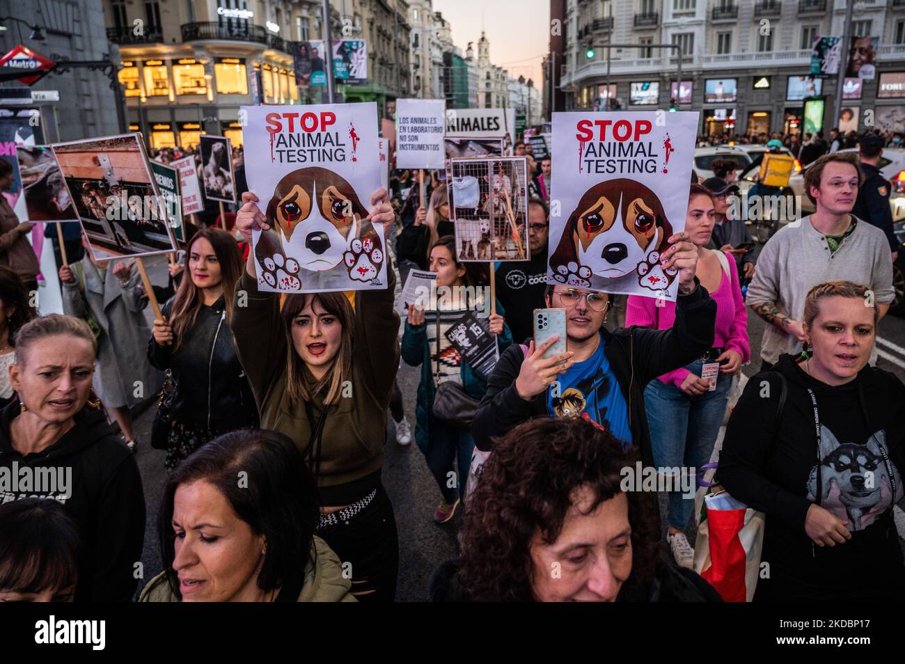 Madrid, Spain. 05th Nov, 2022. People carrying placards during a protest against animal testing. Animal rights activists are protesting against animal experimentation and the case of Vivotecnia, a company with an open court case for animal abuse during animal testing experiments. Credit: Marcos del Mazo/Alamy Live News Stock Photo