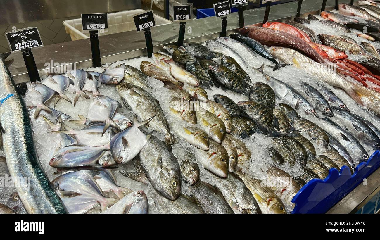 Fish Displayed At The Upscale LuLu Hypermarket Located In The Lulu fish-displayed-at-the-upscale-lulu-hypermarket-located-in-the-lulu