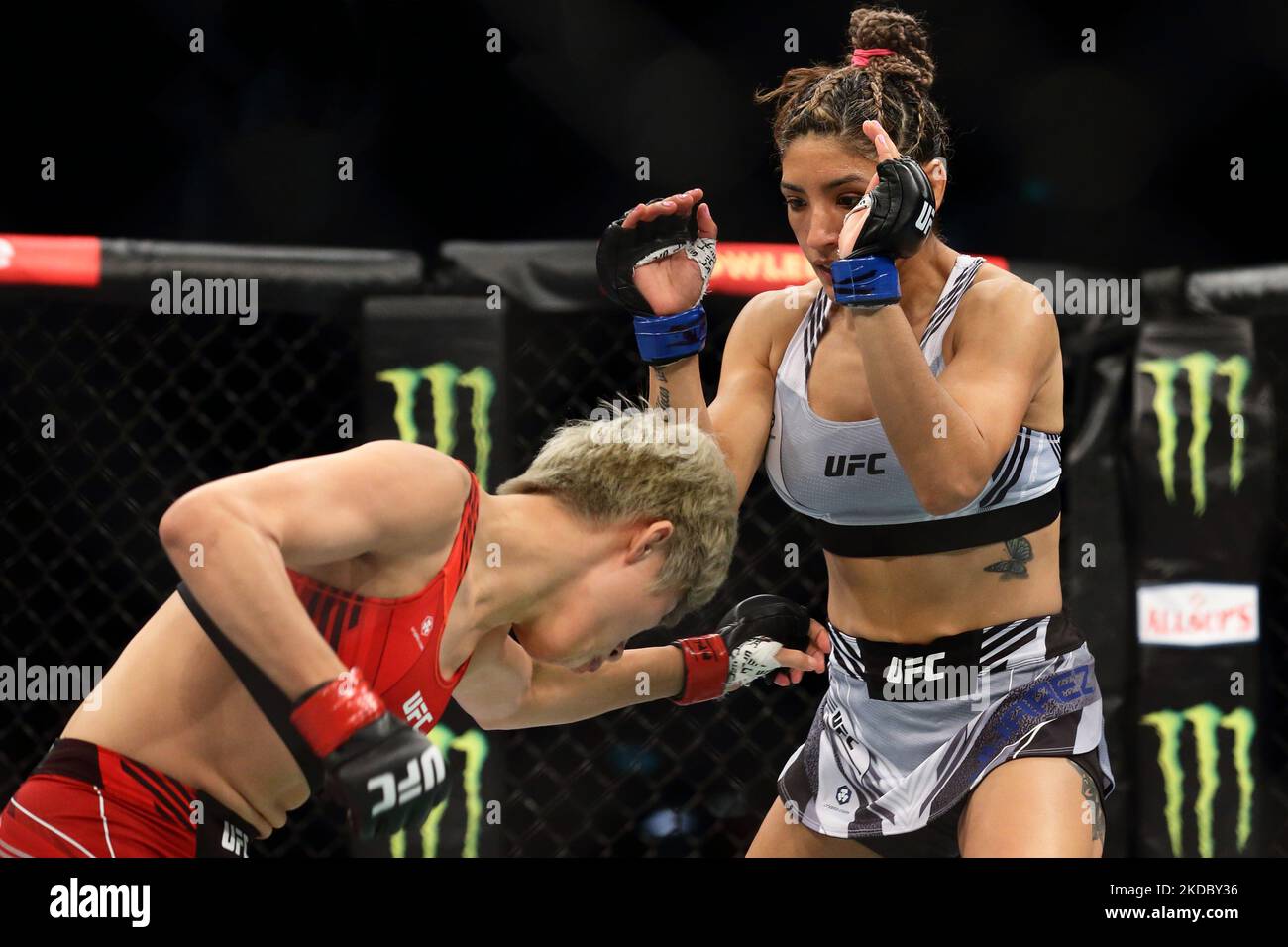 Silvana Gomez Juarez of Argentina (R) battles Liang Na of China in the women’s strawweight bout during the UFC 275 event at Singapore Indoor Stadium on June 12, 2022 in Singapore. (Photo by Suhaimi Abdullah/NurPhoto) Stock Photo