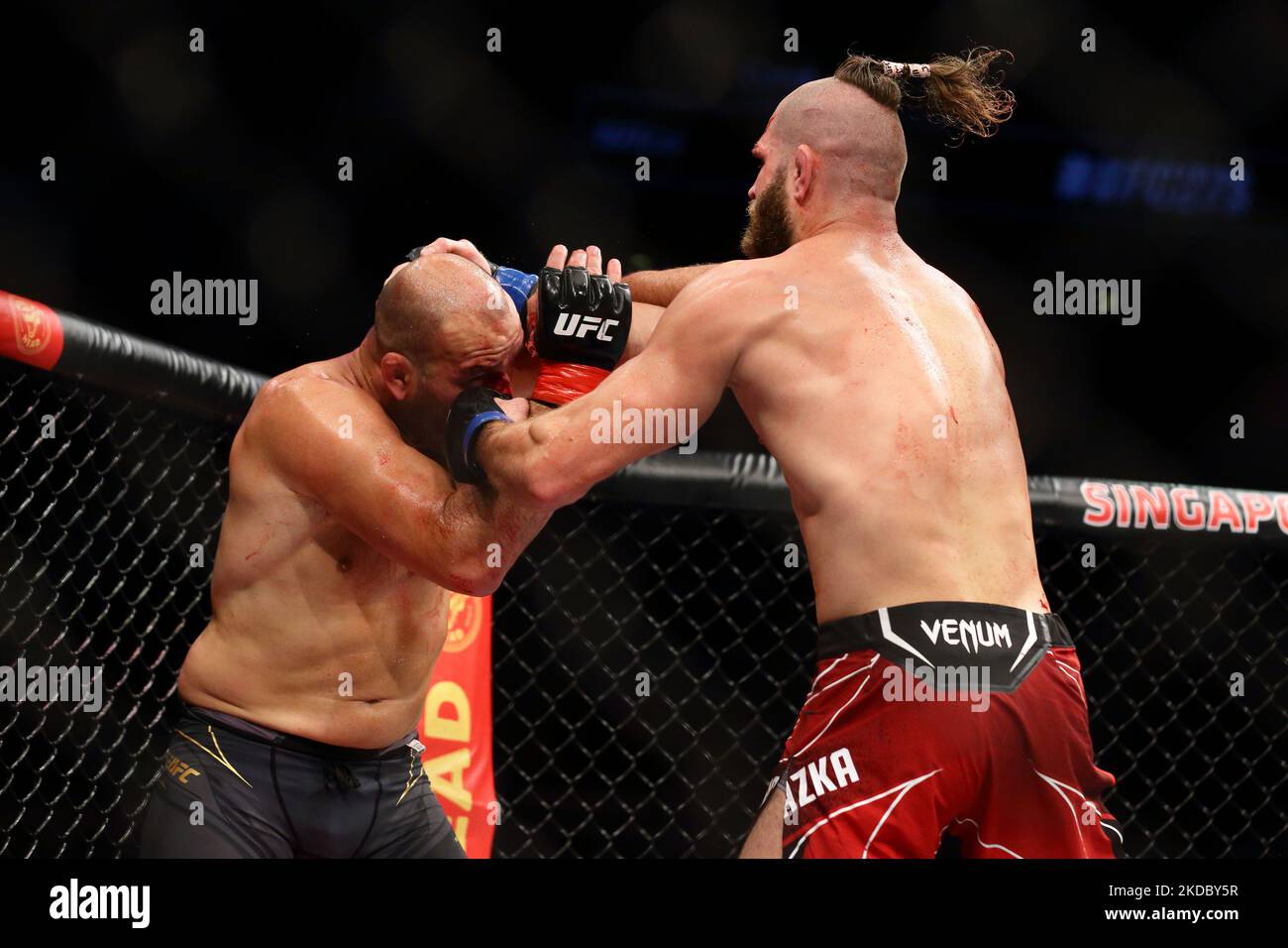 Jiri Prochazka of Czech Republic (R) battles Glover Teixeira of Brazil