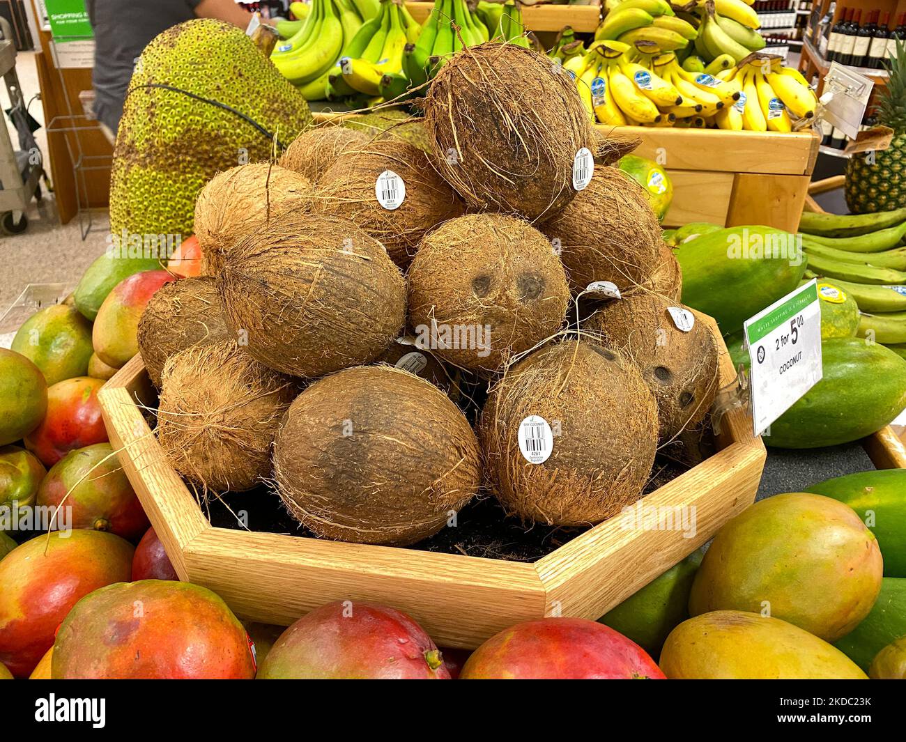 Orlando, FL USA May 19, 2021 Coconuts stacked in a produce