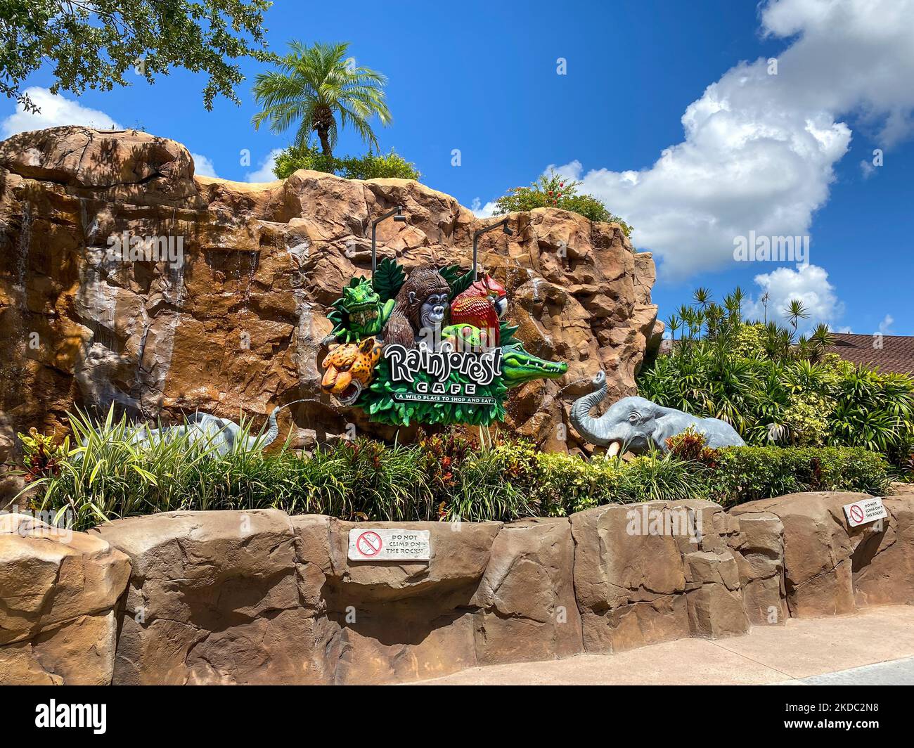 Rainforest cafe hi-res stock photography and images - Alamy