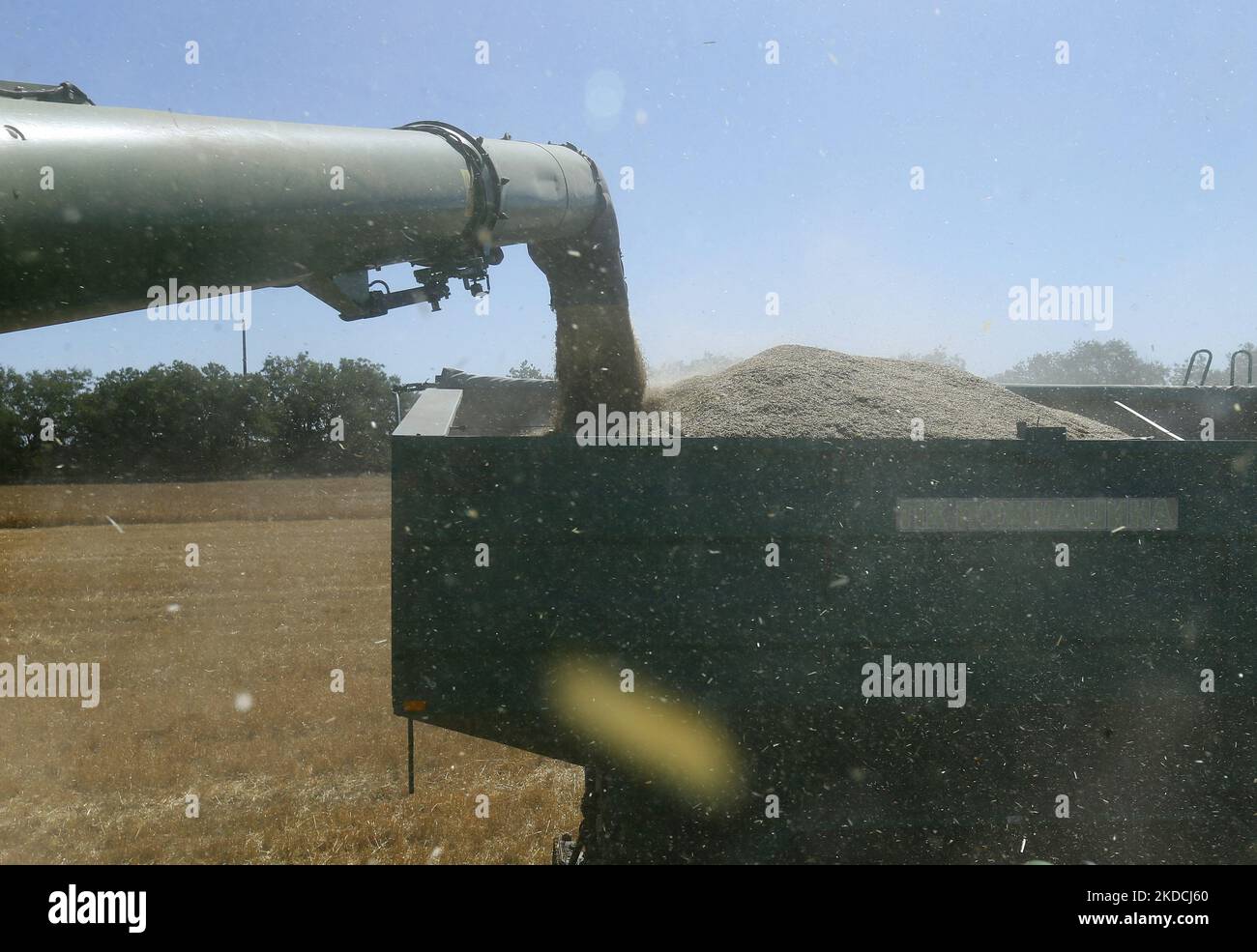 Ukrainian farmers harvest barley fields in Odesa region, Ukraine 22