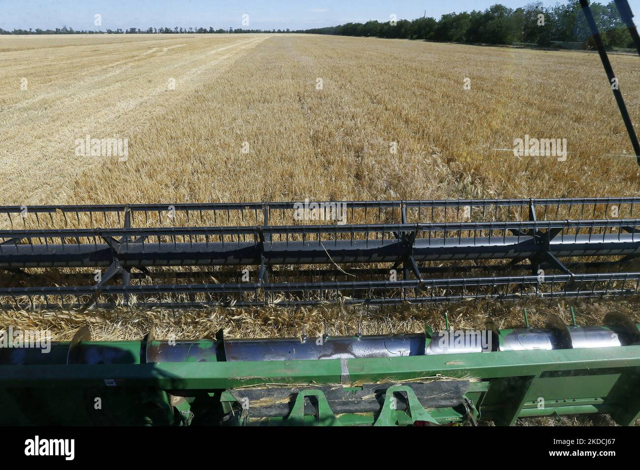 Corn fields ukraine hires stock photography and images Alamy