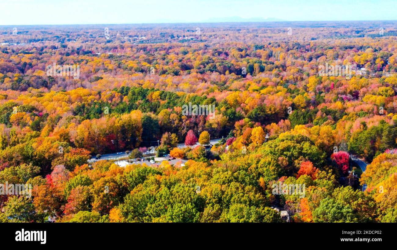 An aerial shot of a road hidden among colorful fall trees in Greensboro, NC Piedmont Triad Stock Photo
