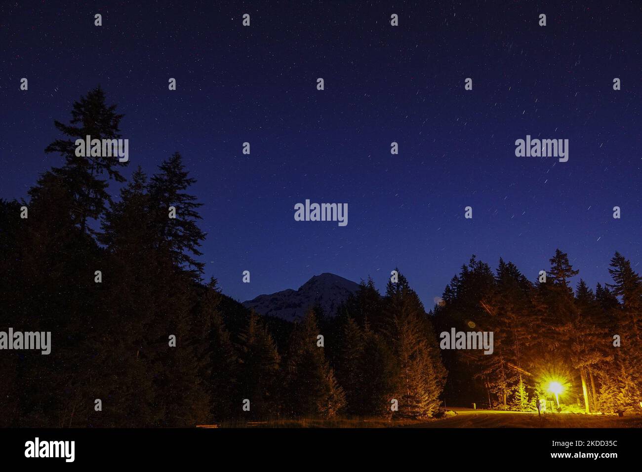 Mount Rainier viewed from Longmire at night in Mt Rainier National Park ...