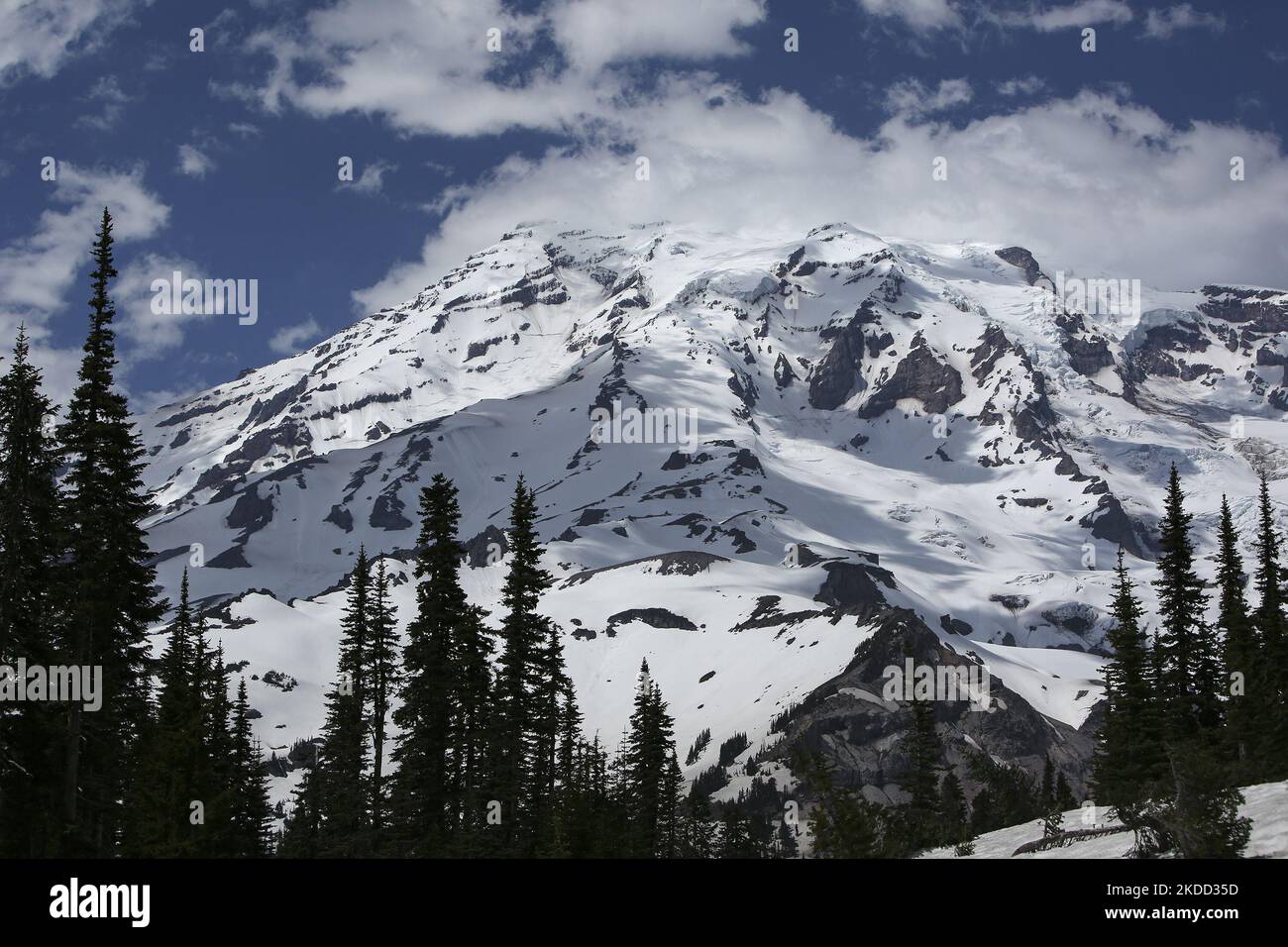 Mount Rainier viewed from the Nisqually Vista Trail in Mt Rainier ...