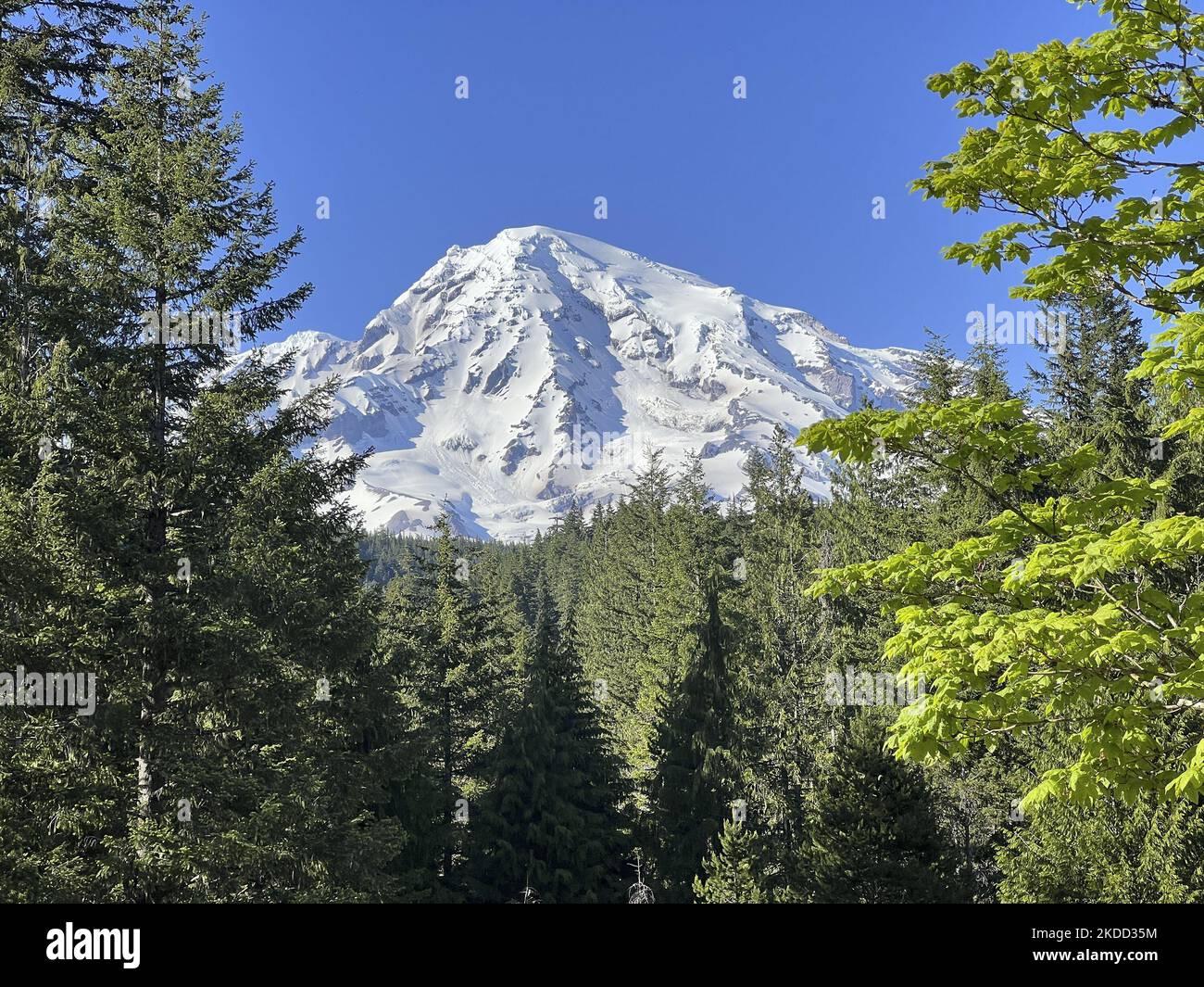 Mount Rainier viewed from Eatonville near Mt Rainier National Park on ...
