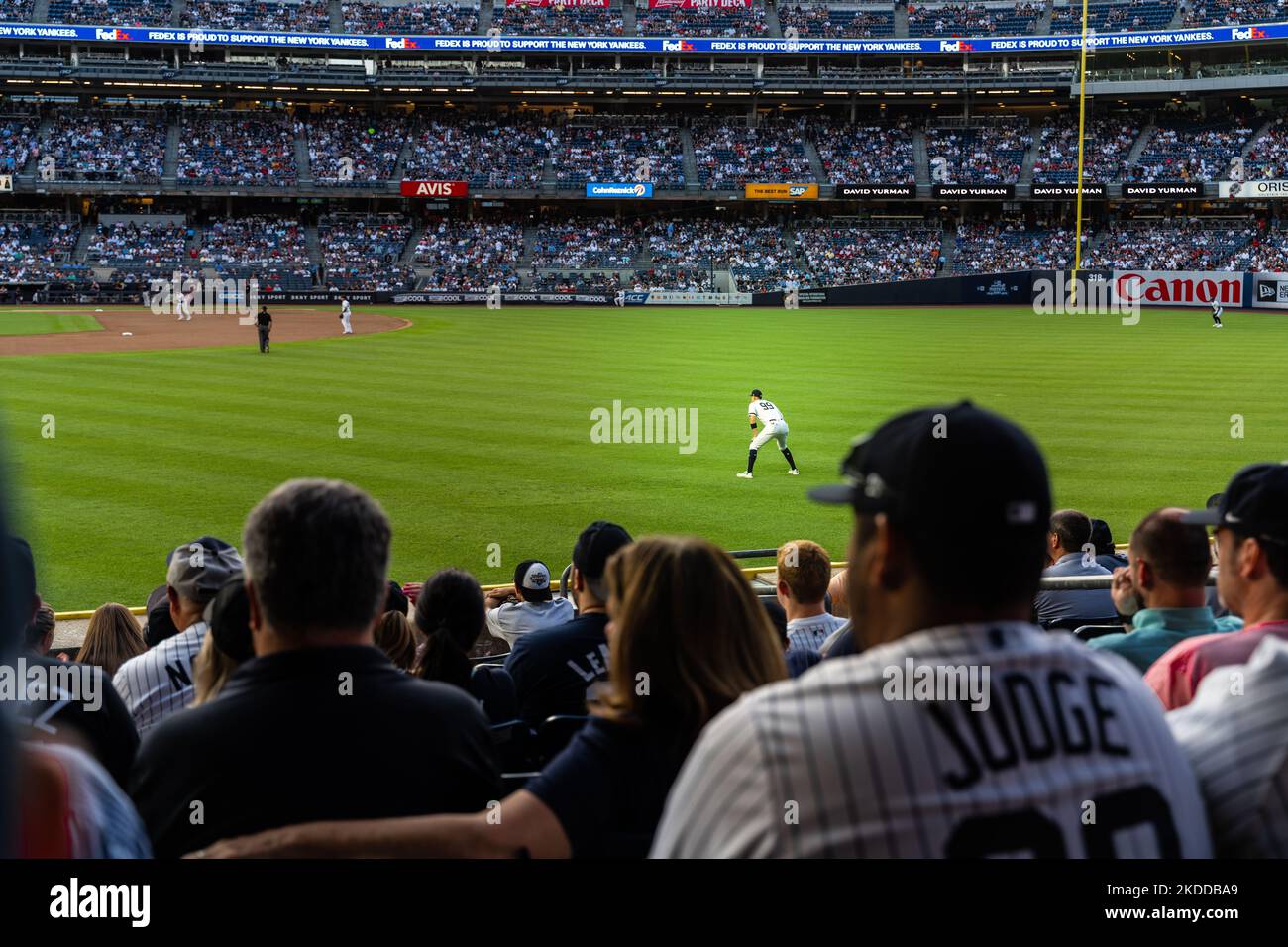 The Aaron Judge of the New York Yankees during a baseball game Stock