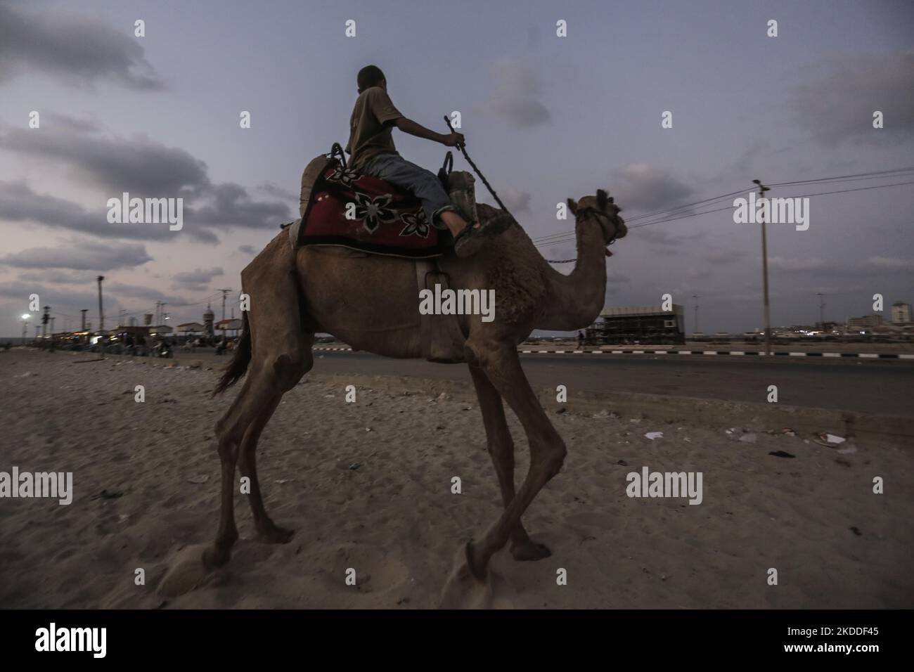 November 5, 2022, Gaza City, The Gaza Strip, Palestine: A Palestinian ...