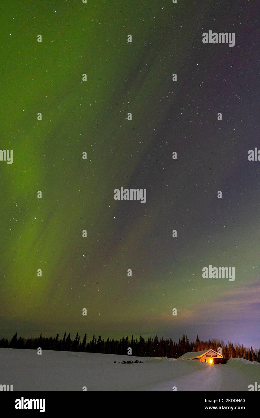 Aurora Pointe, Borealis, Northern Lights, Fairbanks, Alaska Stock Photo