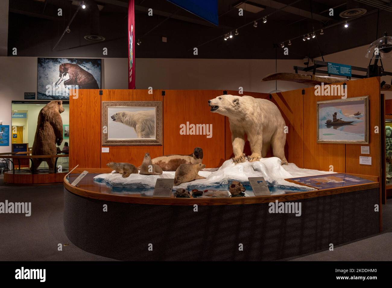 University of Alaska Museum of the North, Fairbanks, Alaska Stock Photo