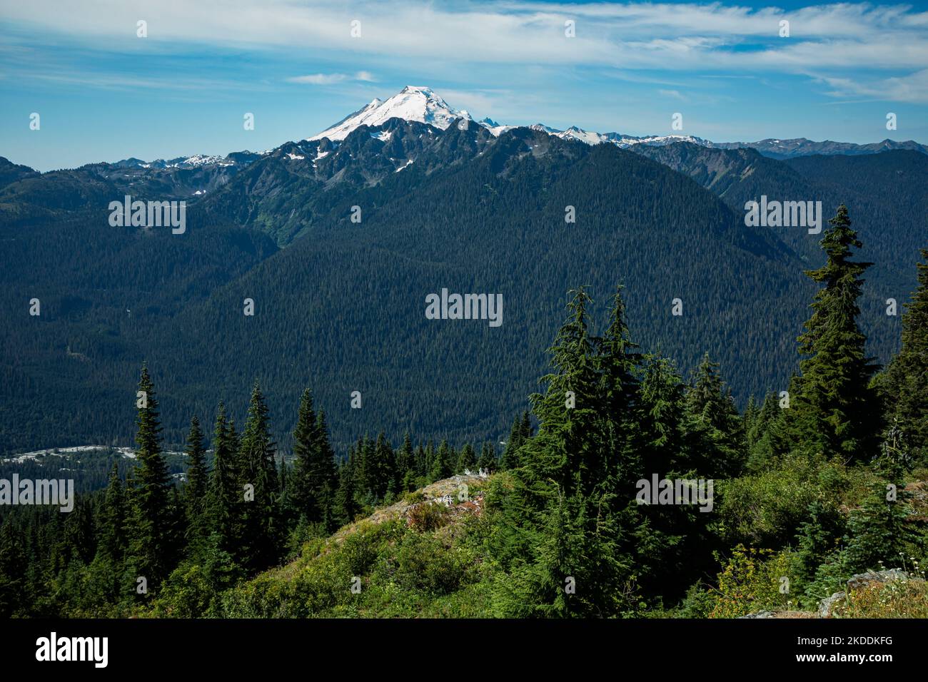 Nooksack forest hires stock photography and images Alamy