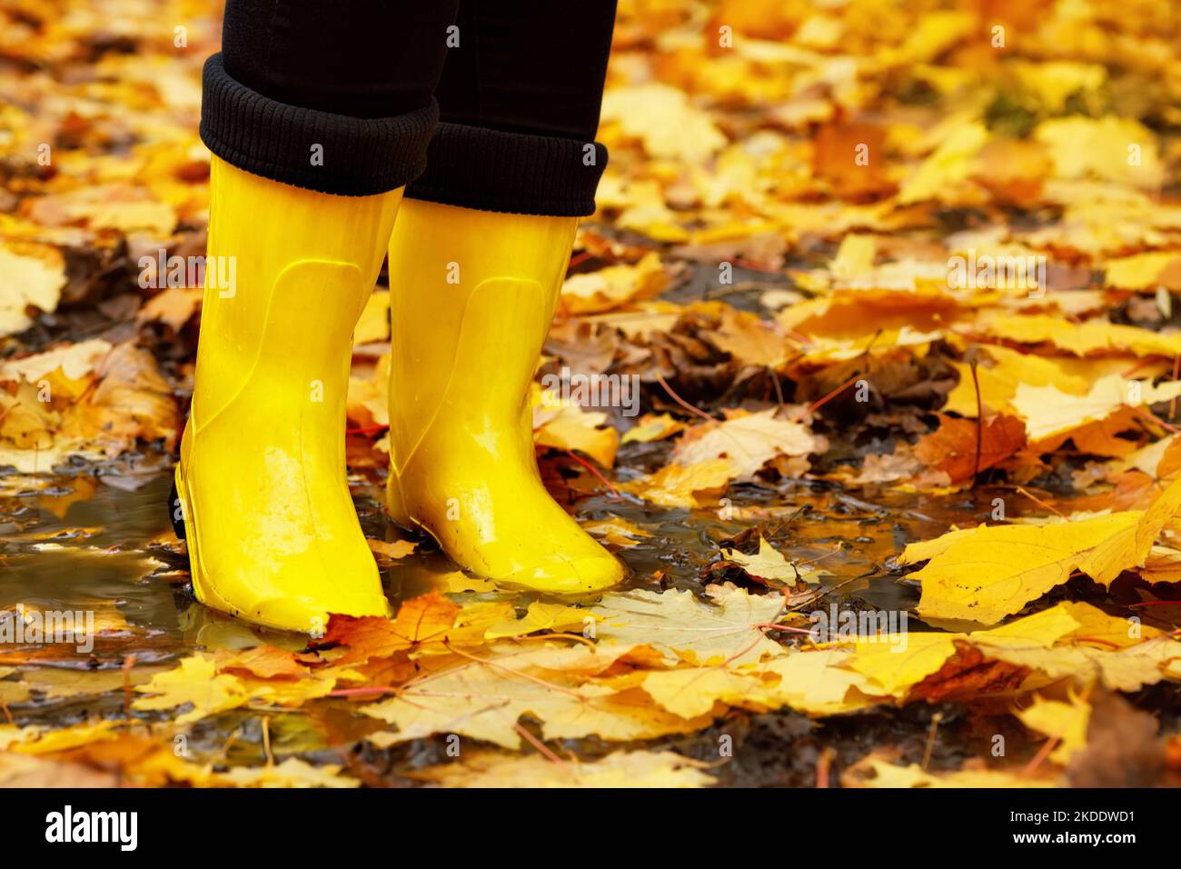 closeup of woman legs in yellow rubber boots in puddle Stock Photo