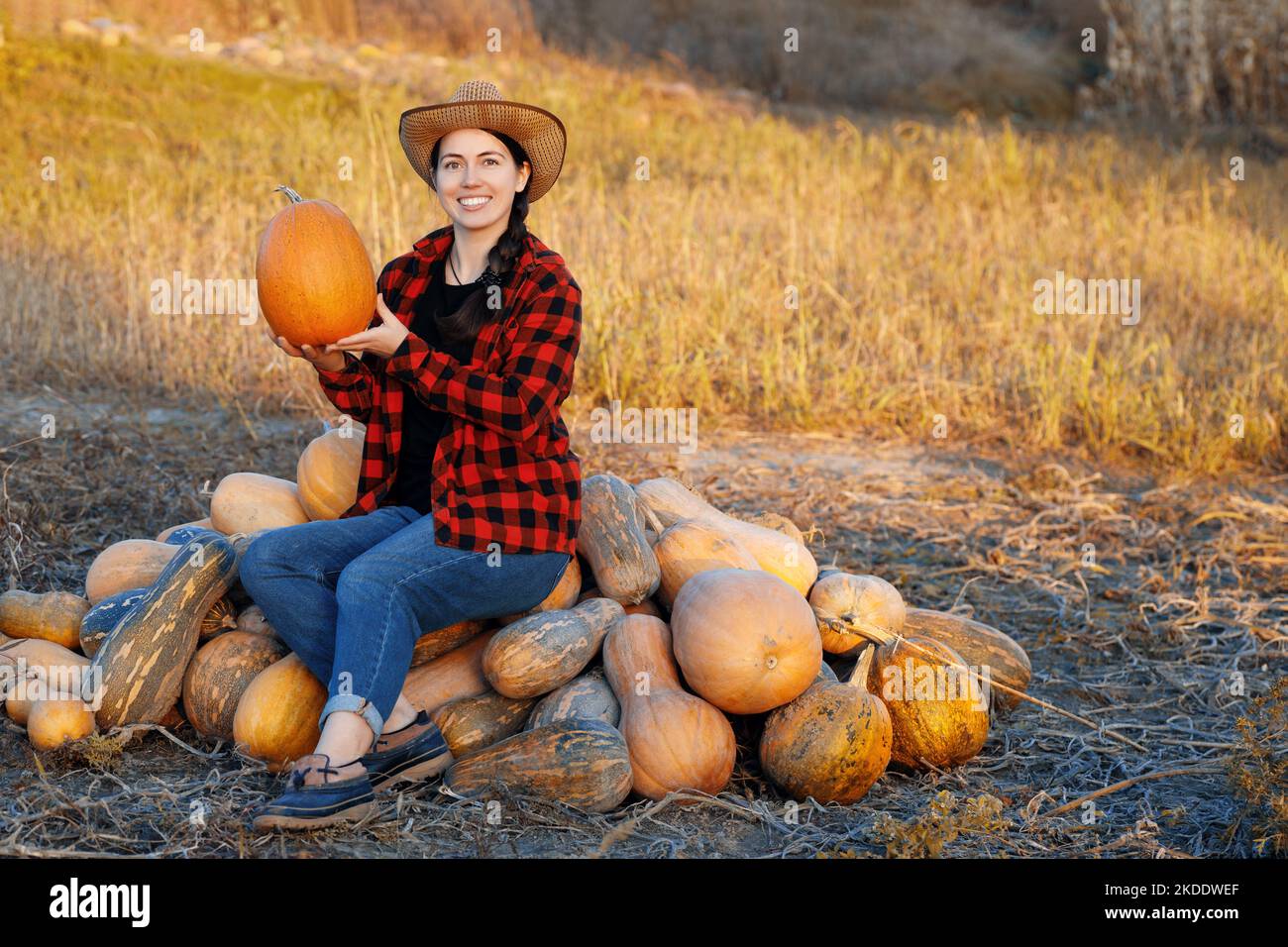 woman farmer with heap of ripe pumpkins on plantation Stock Photo
