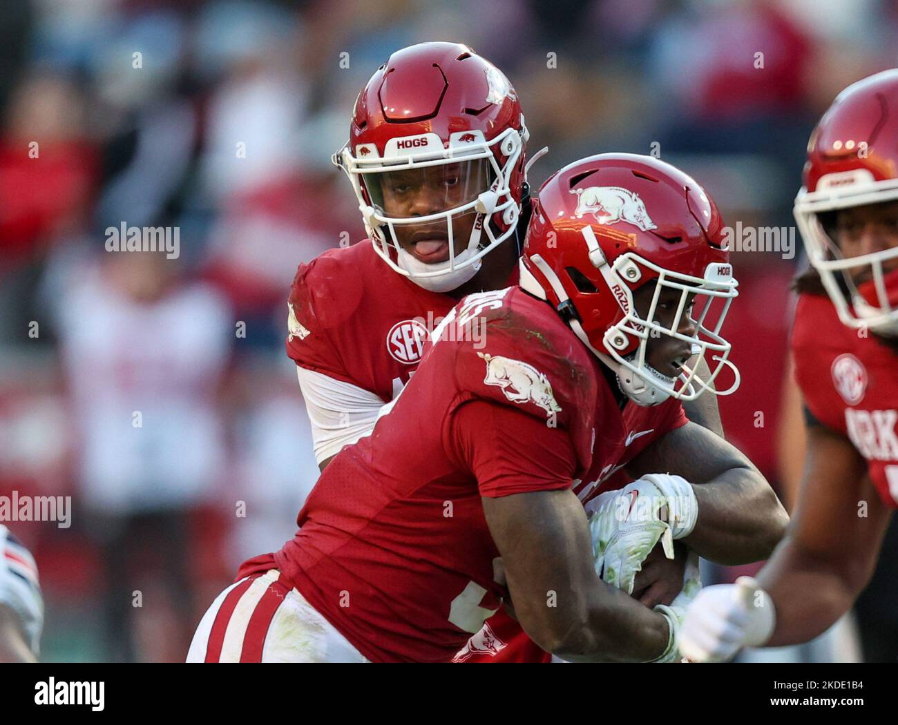 Defeated Razorback November 5, 2022: Razorback QB KJ Jefferson #1 places the ball in the ...