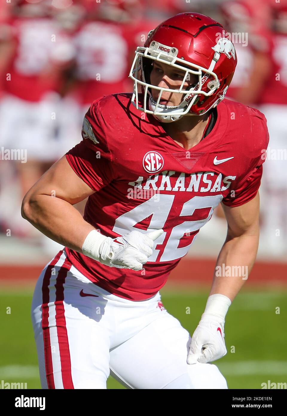 November 5, 2022 Arkansas linebacker Drew Sanders 42 takes a drop