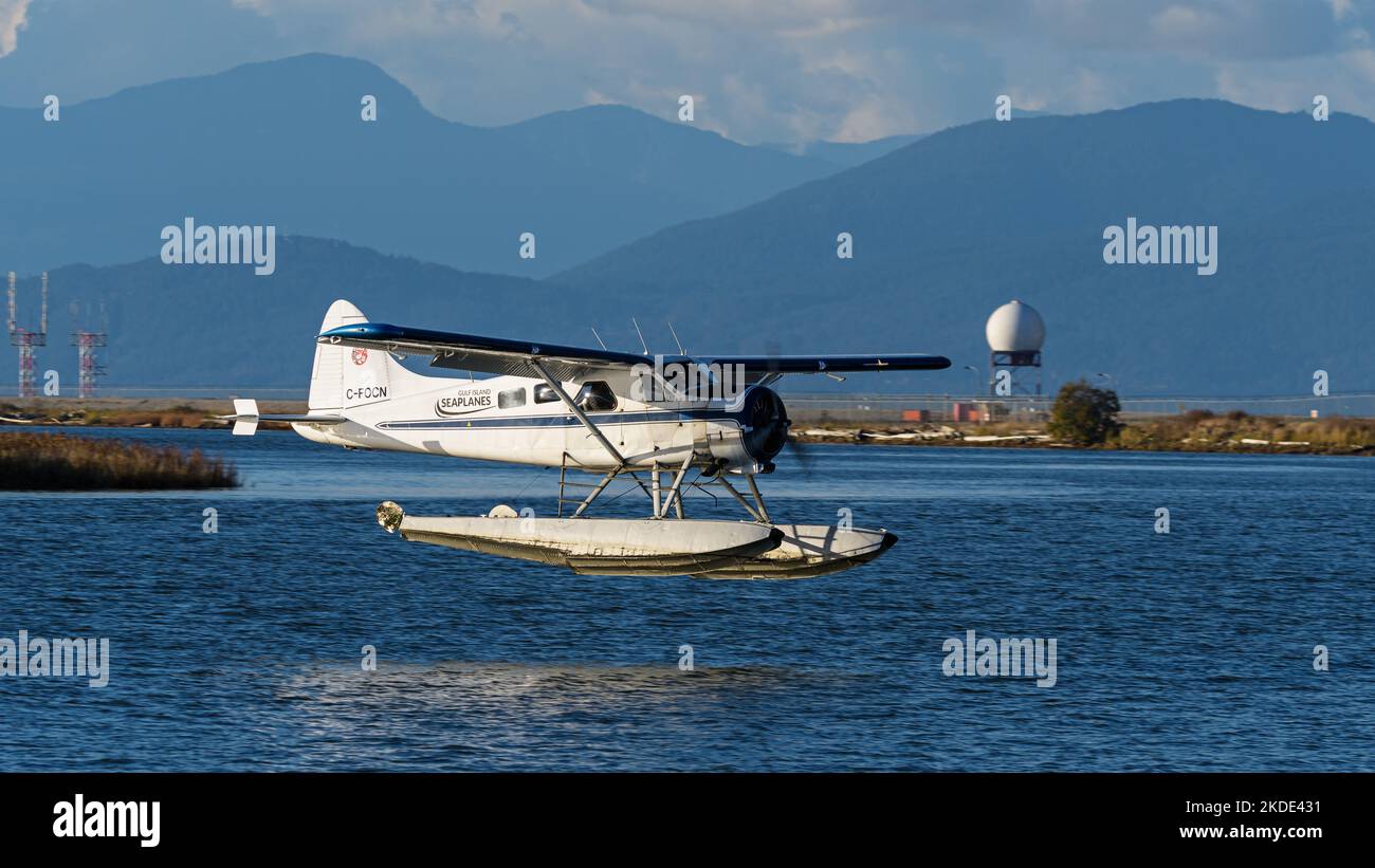 Richmond, British Columbia, Canada. 1st Nov, 2022. A De Havilland Canada Beaver floatplane (DHC-2 Mk. I), belonging to Gulf Island Seaplanes, comes in to land at Vancouver International Water Airport, located on the Fraser River, adjacent to the South Terminal of Vancouver International Airport. (Credit Image: © Bayne Stanley/ZUMA Press Wire) Stock Photo
