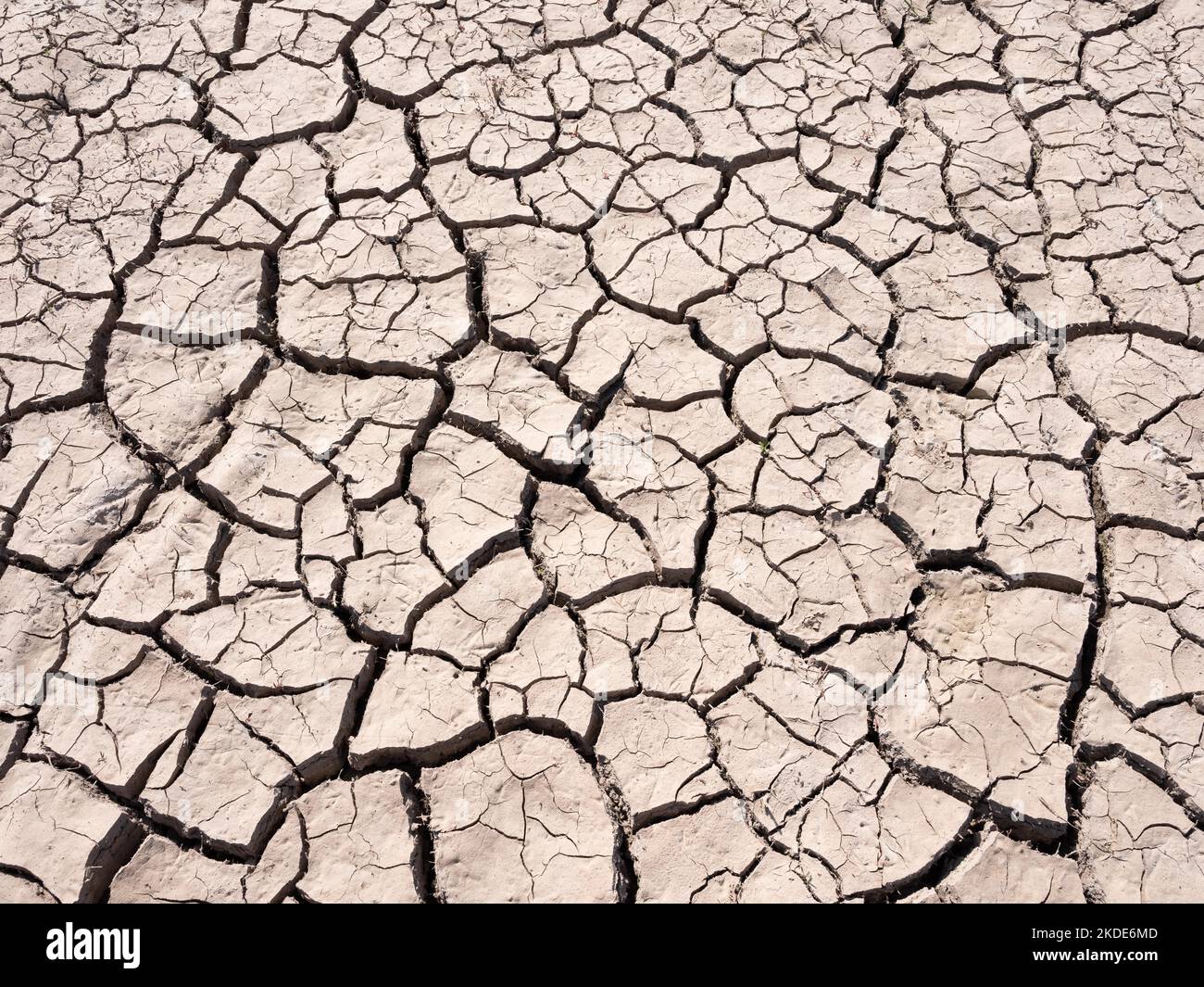 Field dried up and torn open due to drought, soil, cracks Stock Photo