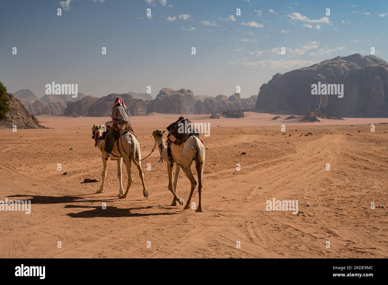 Arab Bedouin Riding a Dromedary Camel in Wadi Rum, Jordan Stock Photo
