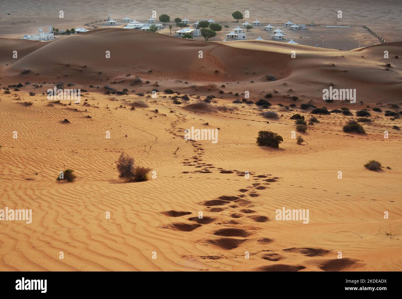 Oman is one of the most densely populated countries in the world. Until