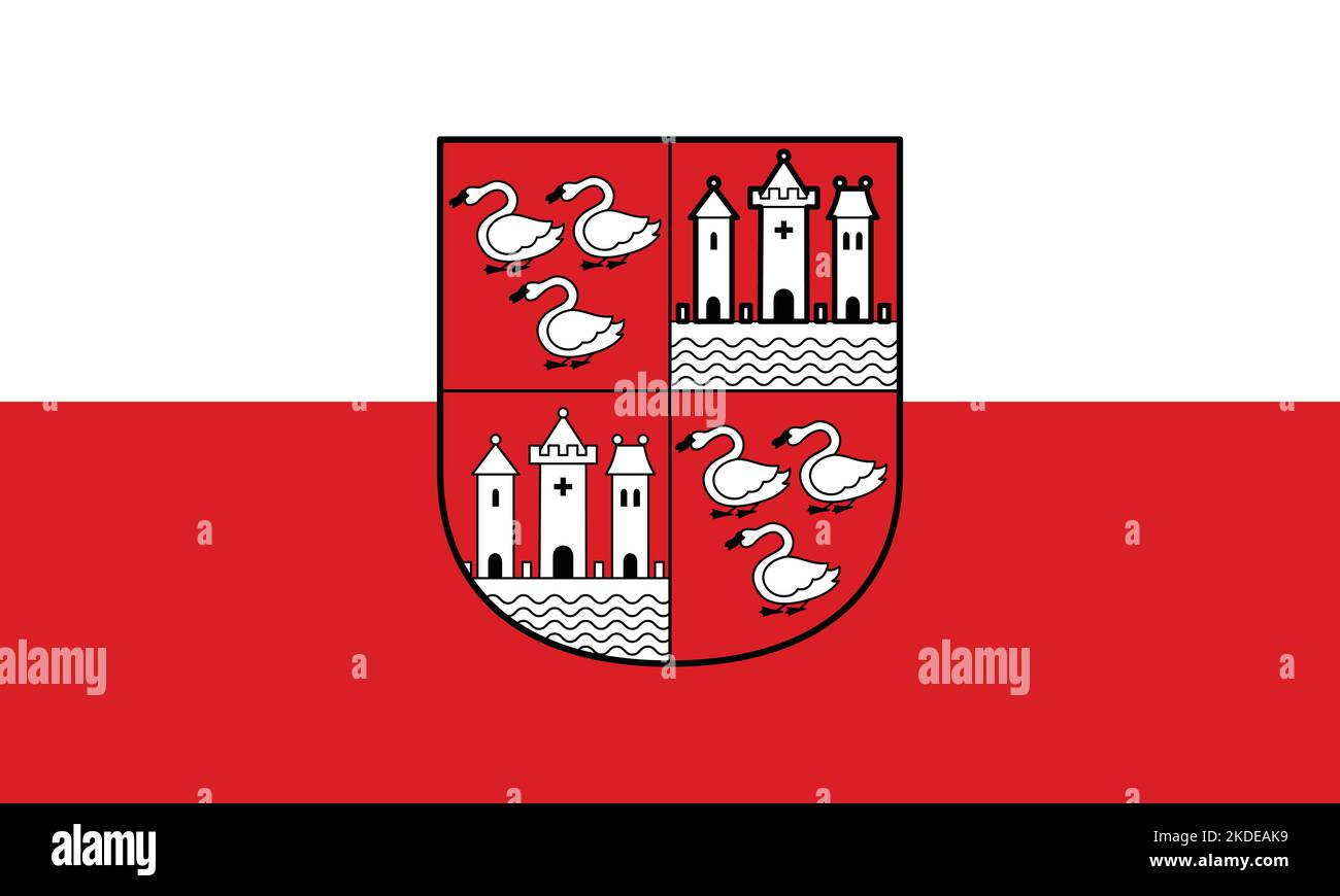 Flag Of ZWICKAU GERMANY Stock Vector Image Art Alamy