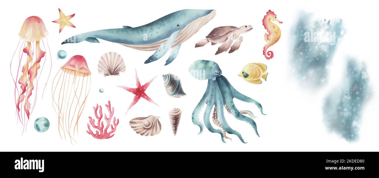 Watercolor set with sea animal isolated. Marine life set. Hand painted marine life. Stock Photo