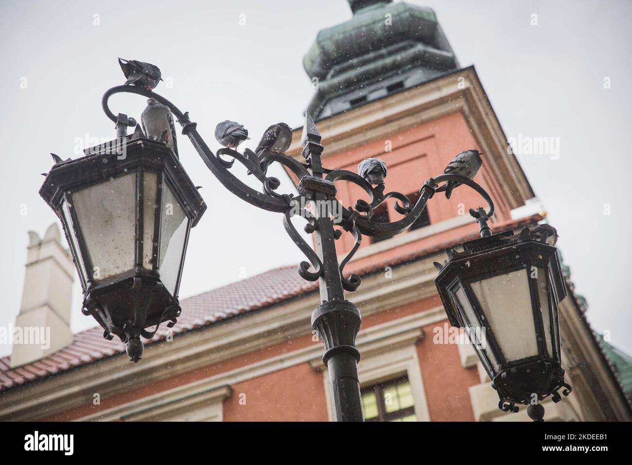 birds sit on a street lamp in snowy weather Stock Photo