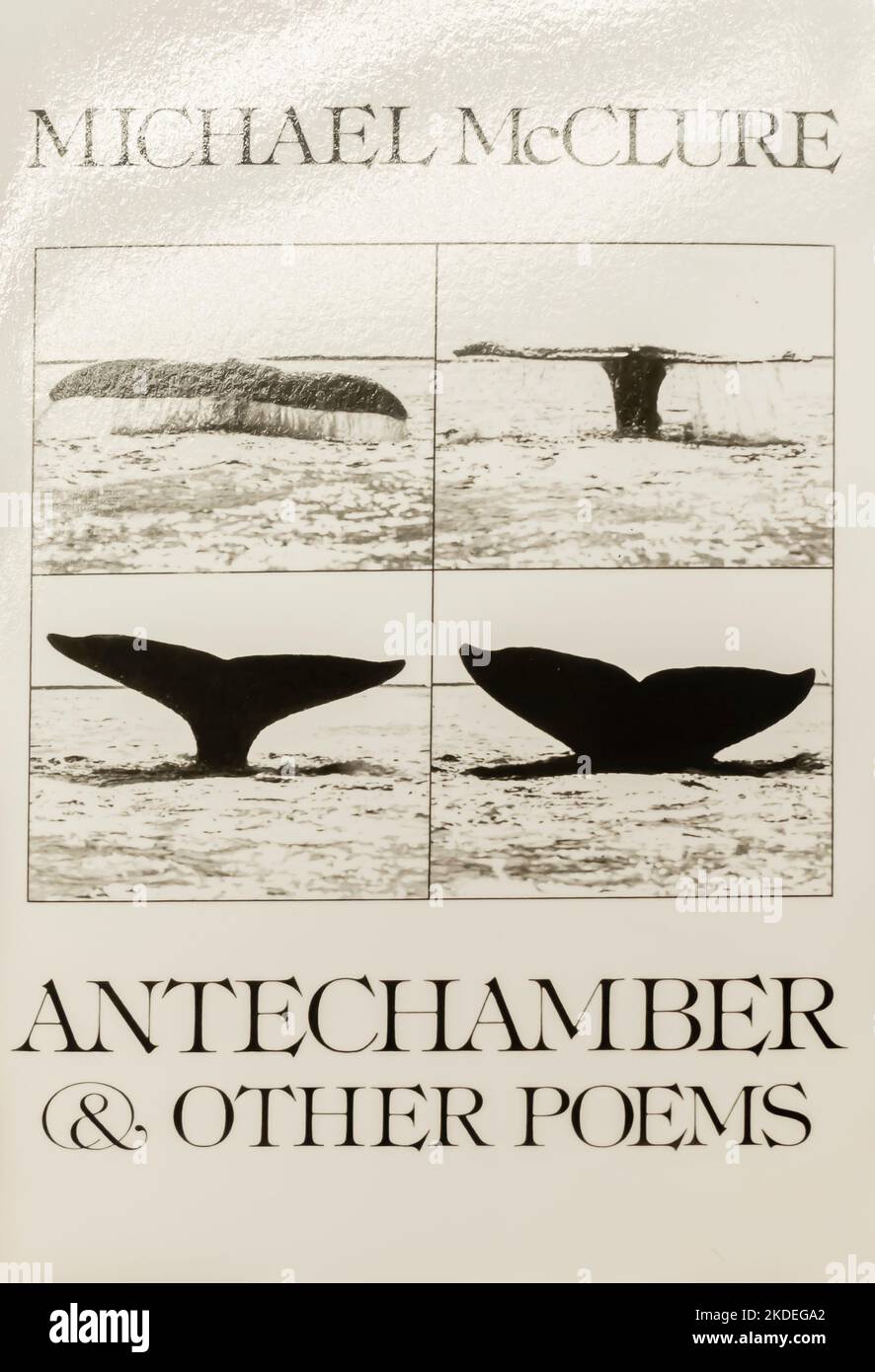 Antechamber, and other poems Book by Michael McClure. 1978 Stock Photo