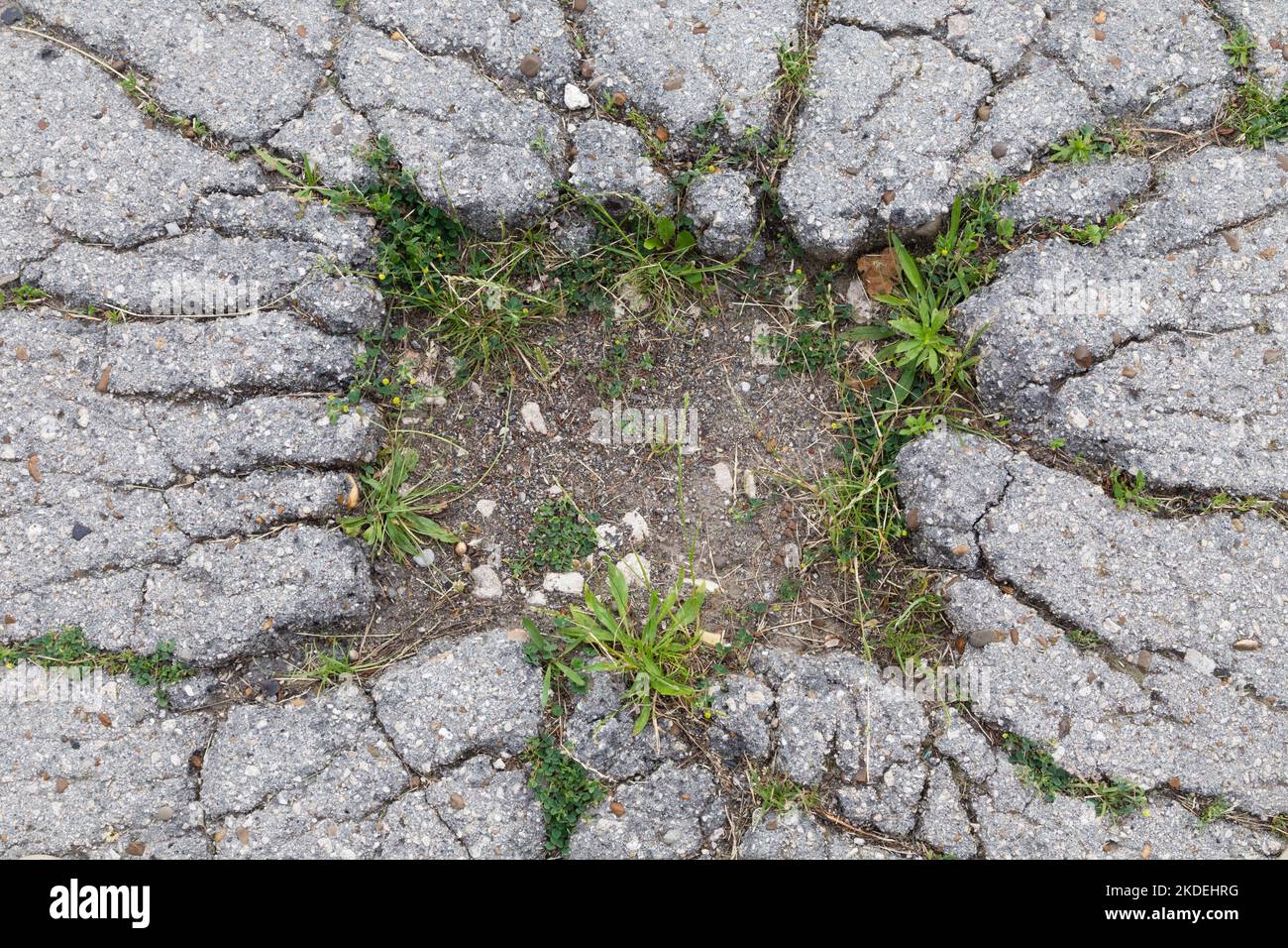 Earthquake crack grass hi-res stock photography and images - Alamy