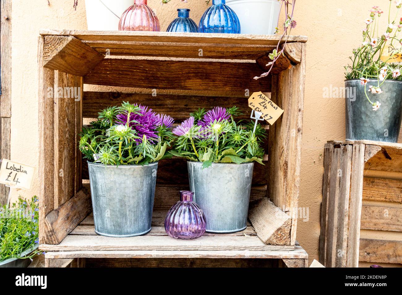 An attractive array of flowers is displayed outside the Manor Florist