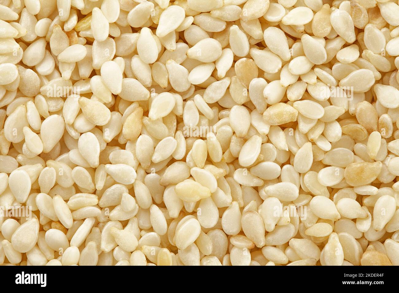 sesame isolated on white background, full depth of field Stock Photo ...