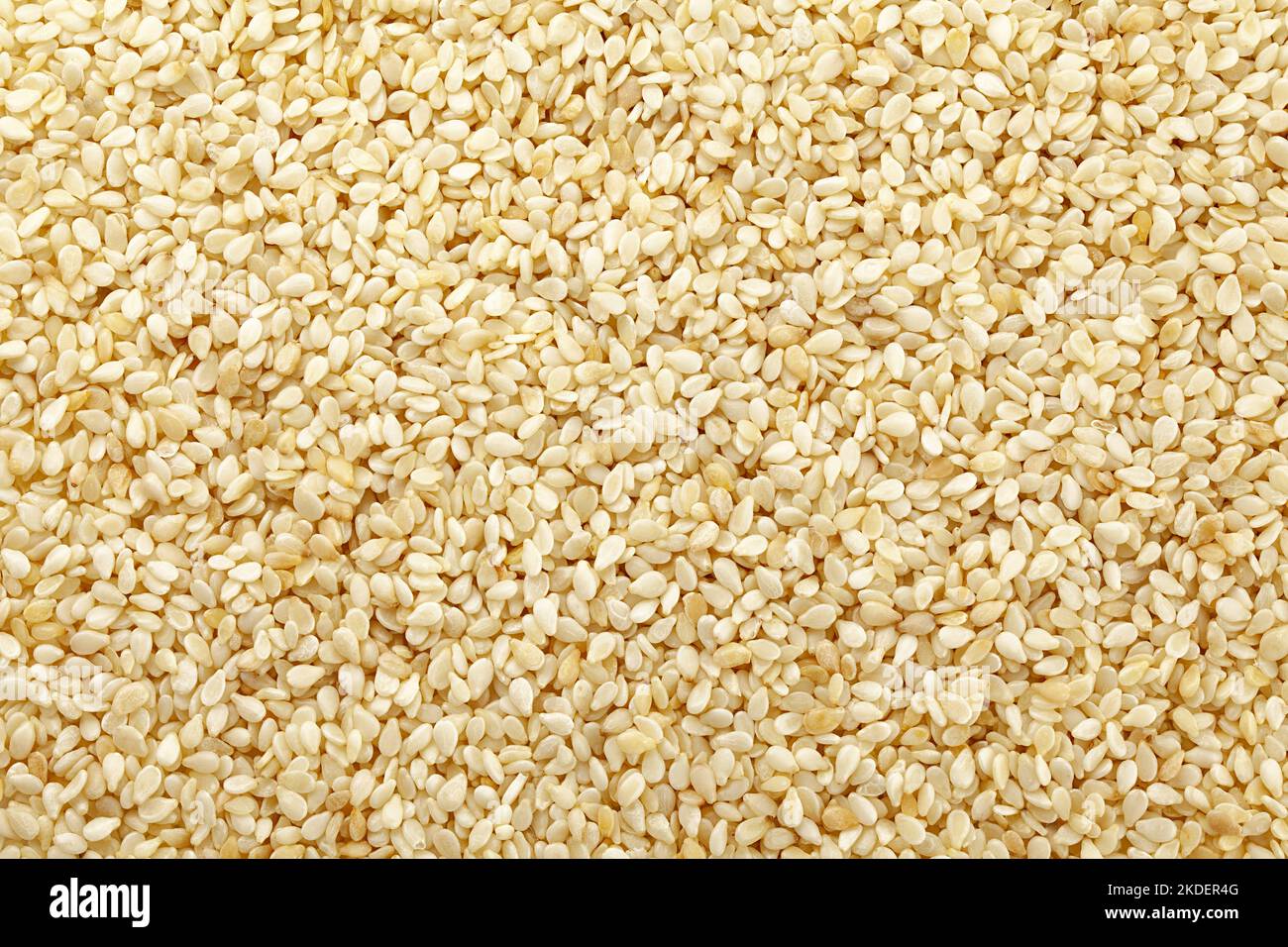 sesame isolated on white background, full depth of field Stock Photo ...