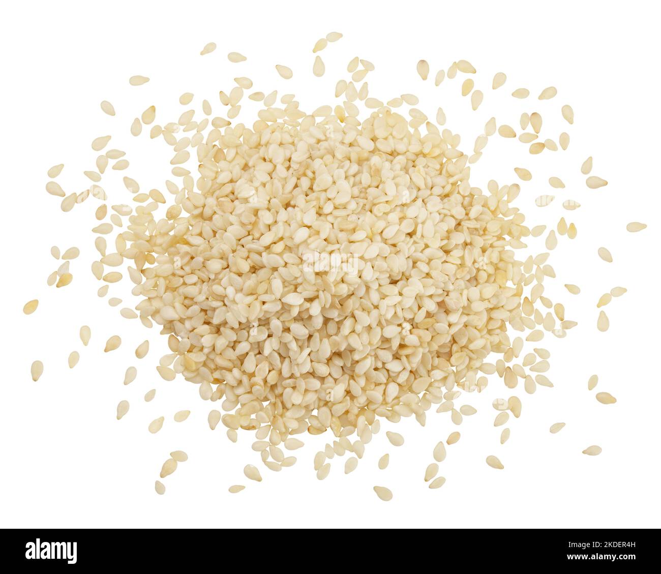 sesame isolated on white background, clipping path, full depth of field ...