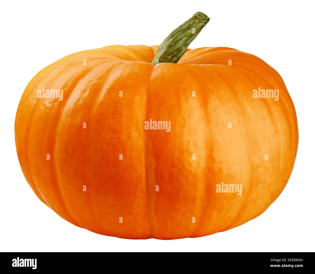 Pumpkin isolated on white background, clipping path, full depth of field Stock Photo