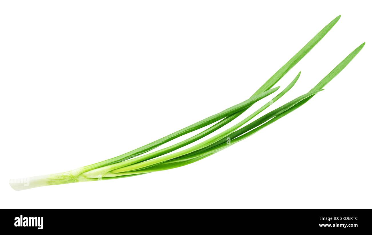 Green onion isolated on the white background, clipping path, full depth of field Stock Photo
