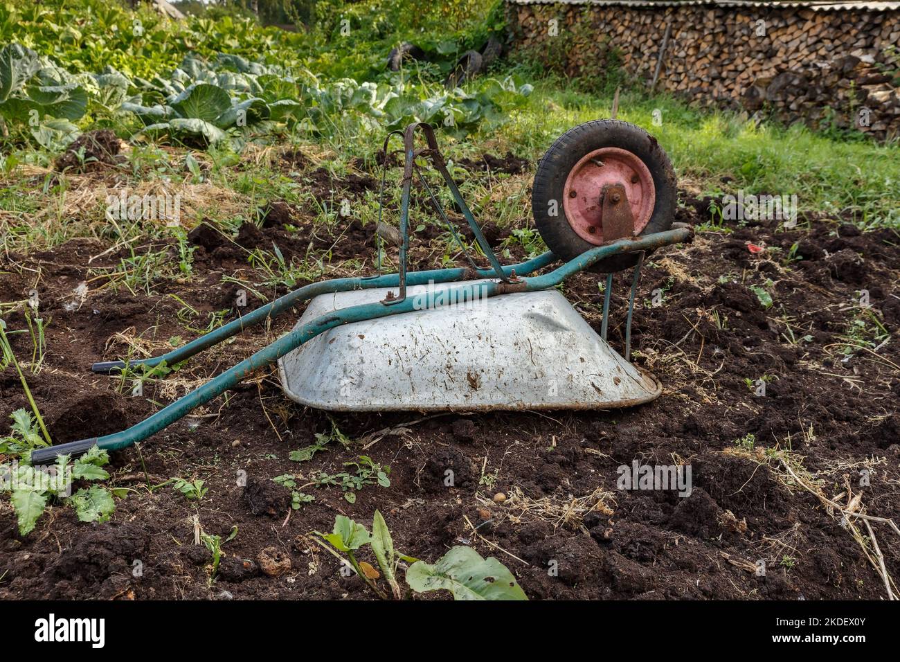 overturned wheelbarrow in the garden. wheelbarrow lying on the ground. Wheel on top. Stock Photo