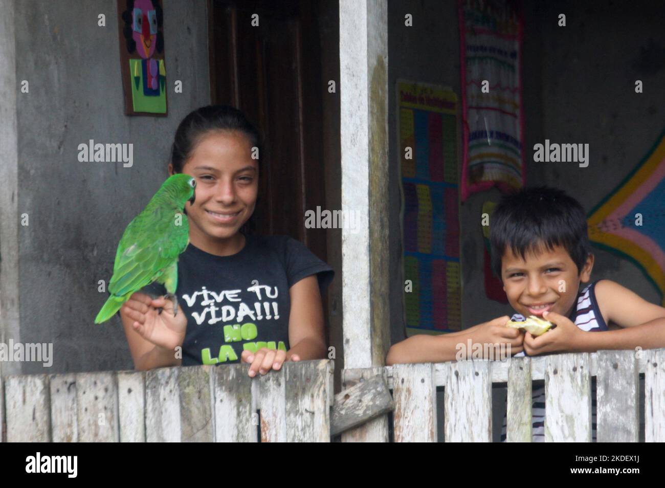 The Siona people with parrot, Local residents of the Ecuadorian Amazonian rainforest photographed at the Cuyabeno Reserve  Ecuador Stock Photo