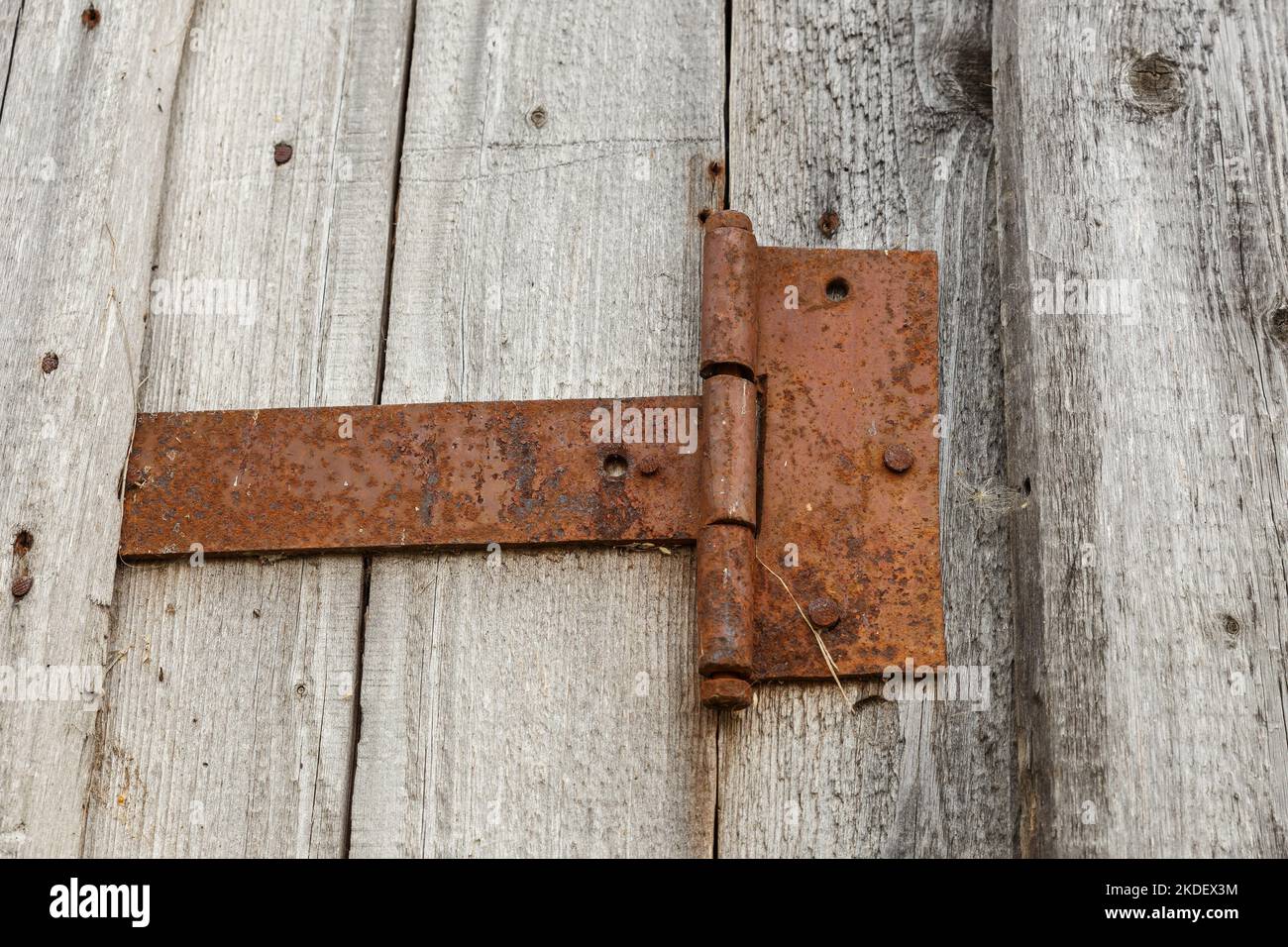 rusty metal door hinge. Door hinge on a wooden wall. Stock Photo