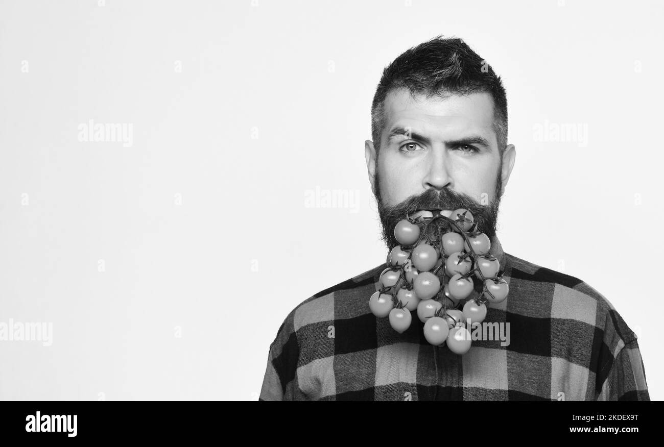 Farming and gardening concept. Man holds tomato berries as beard Stock Photo