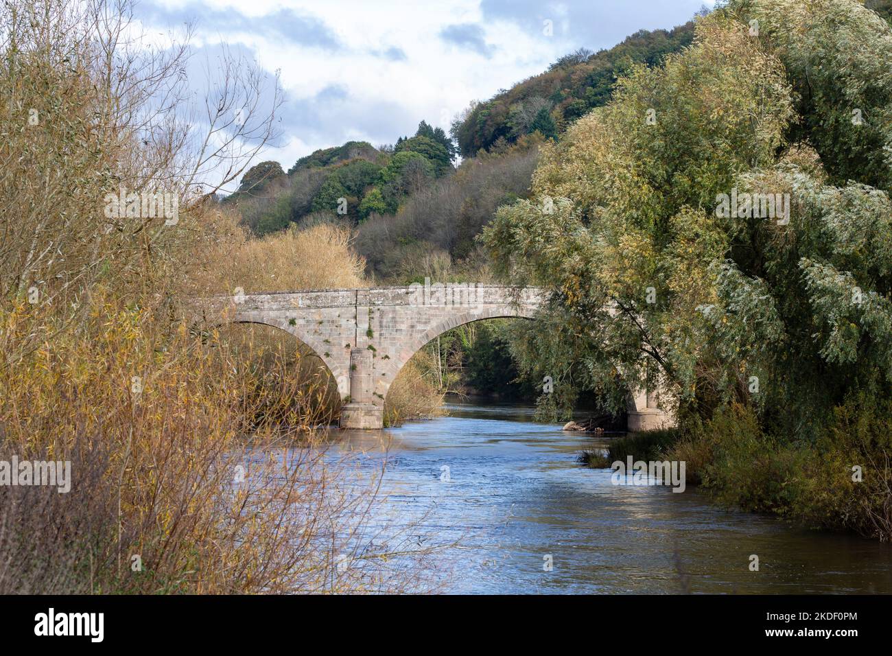 Kerne Bridge surrounded by Willow trees on the River Wye in Herefordshire, England.  Built 1825-28. A scheduled monument. Stock Photo