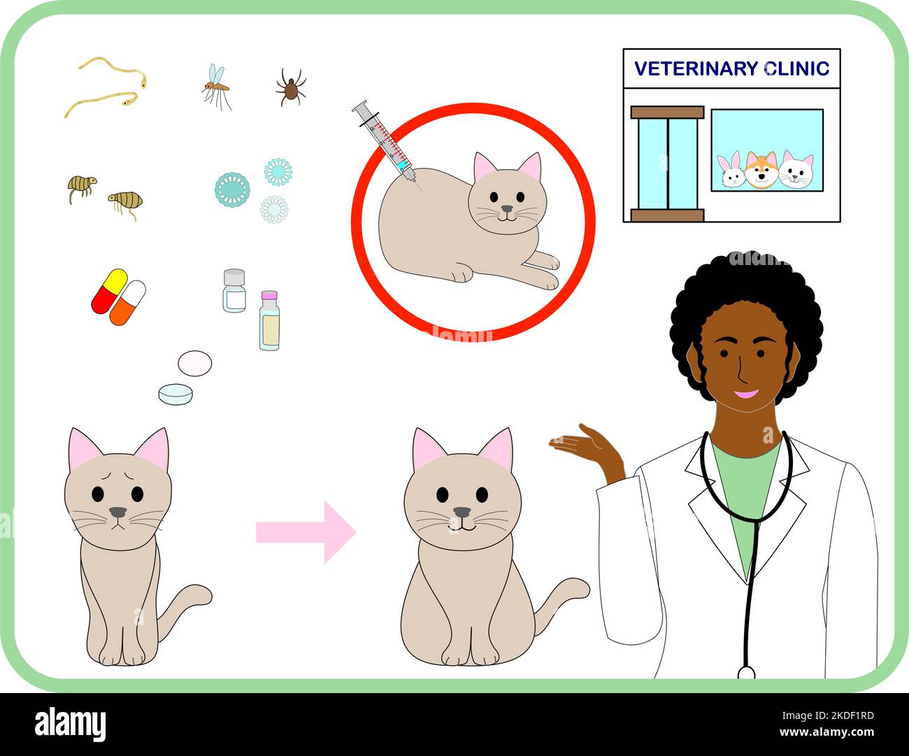 A set of veterinary clinic tick, fleas, virus and drugs, doctor, cats
