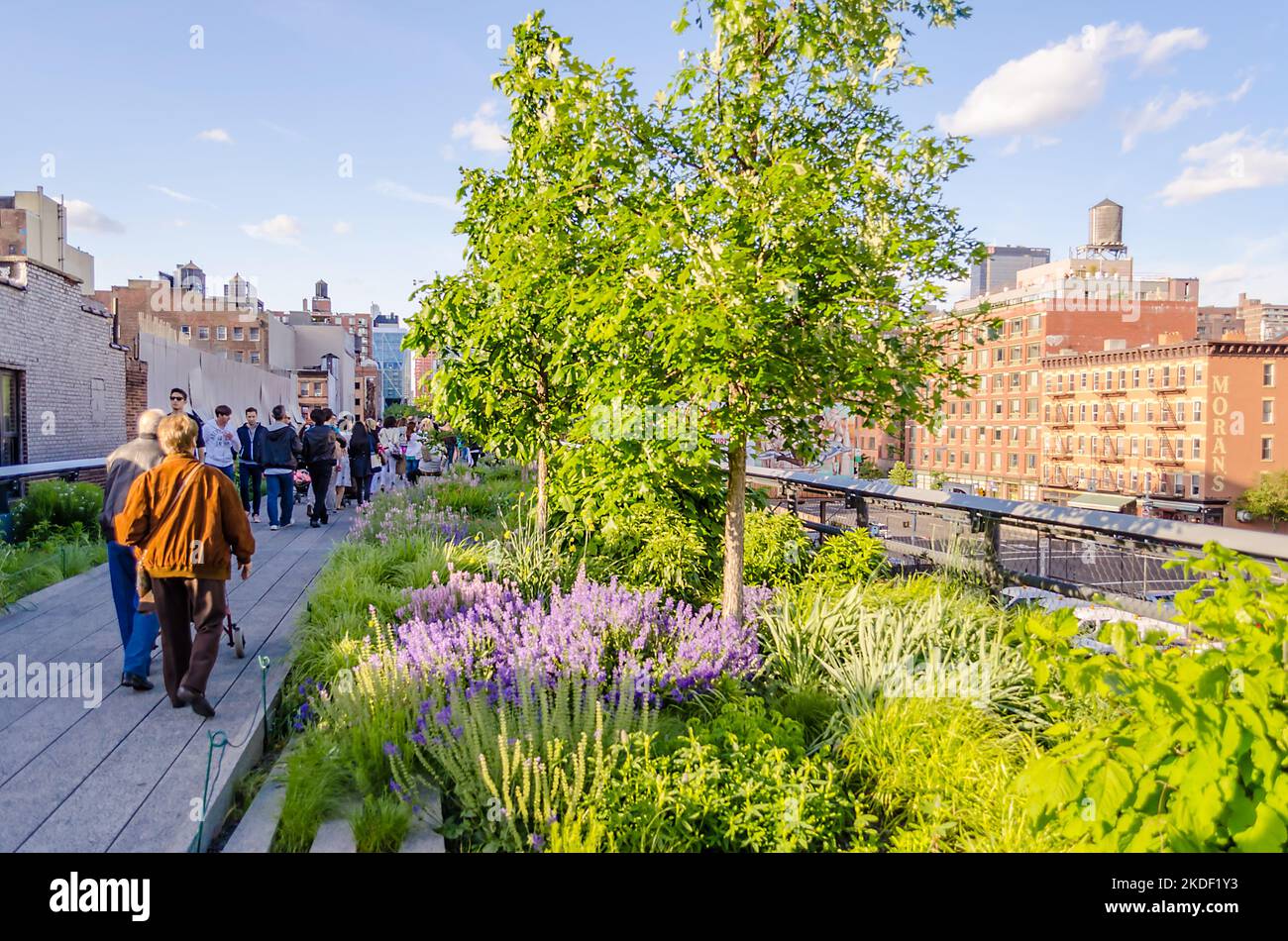 NEW YORK CITY MAY 26 The High Line Park in Midtown Manhattan, New