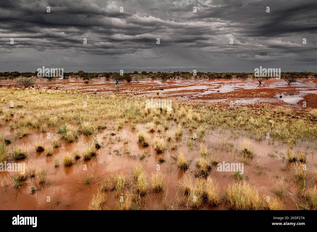 Flooding in the Western Desert after a cyclone passed. Stock Photo