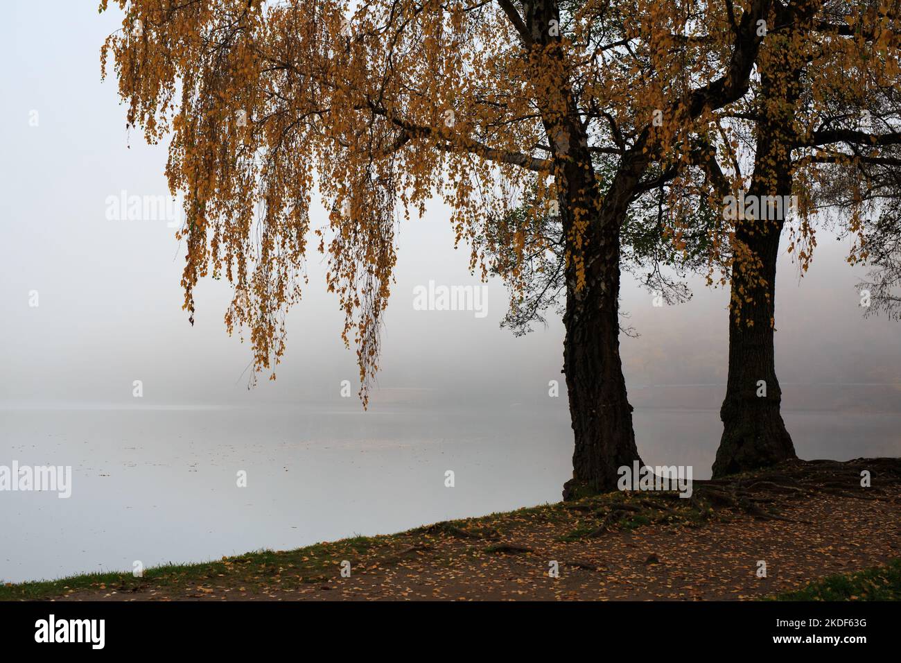 Lake fog sunrise with Autumn foliage and mountains Stock Photo - Alamy