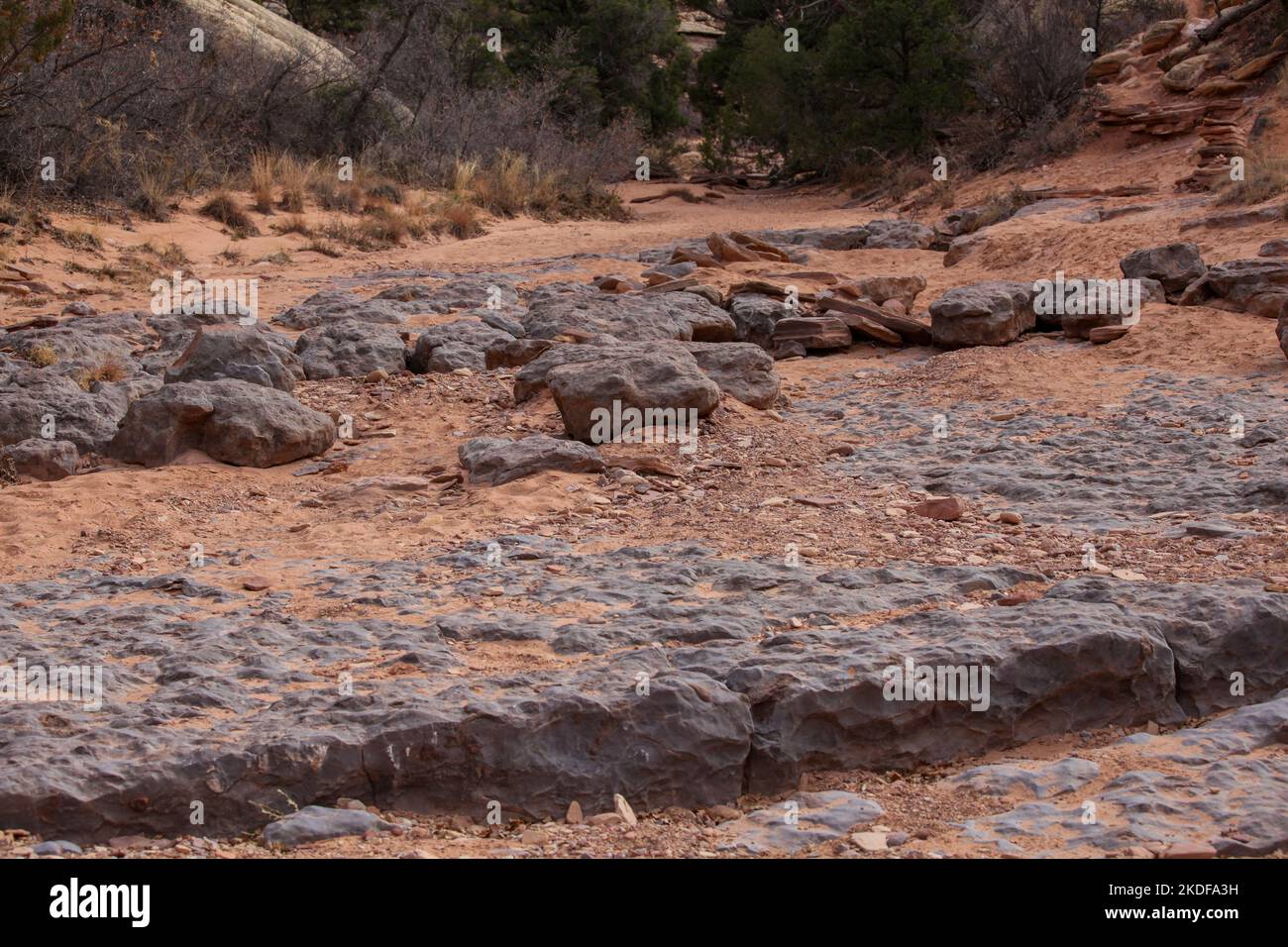 The Needles Trail in Canyonlands National Park, Utah. Stock Photo