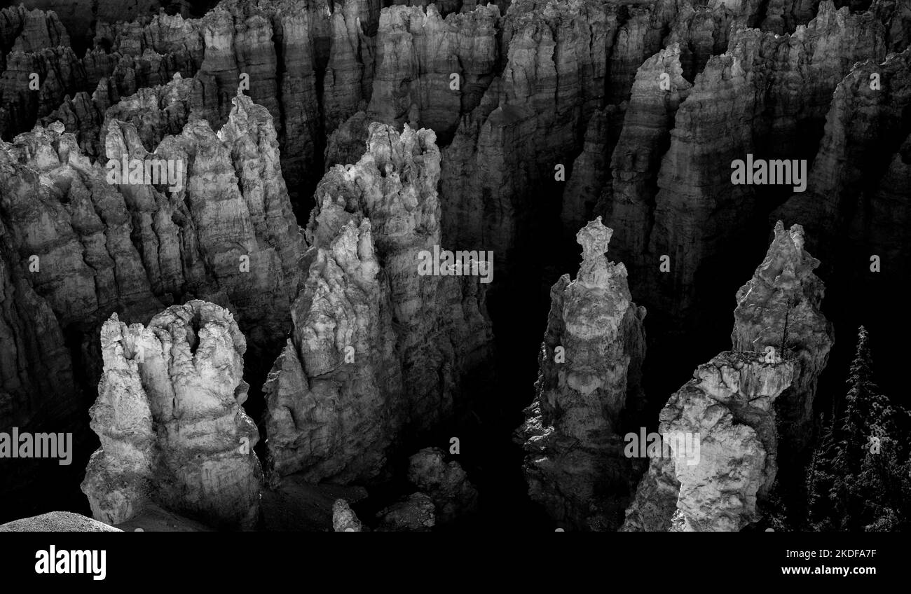 Hoodoos Rising From The Shadows of Bryce Canyon Amphitheater Stock Photo