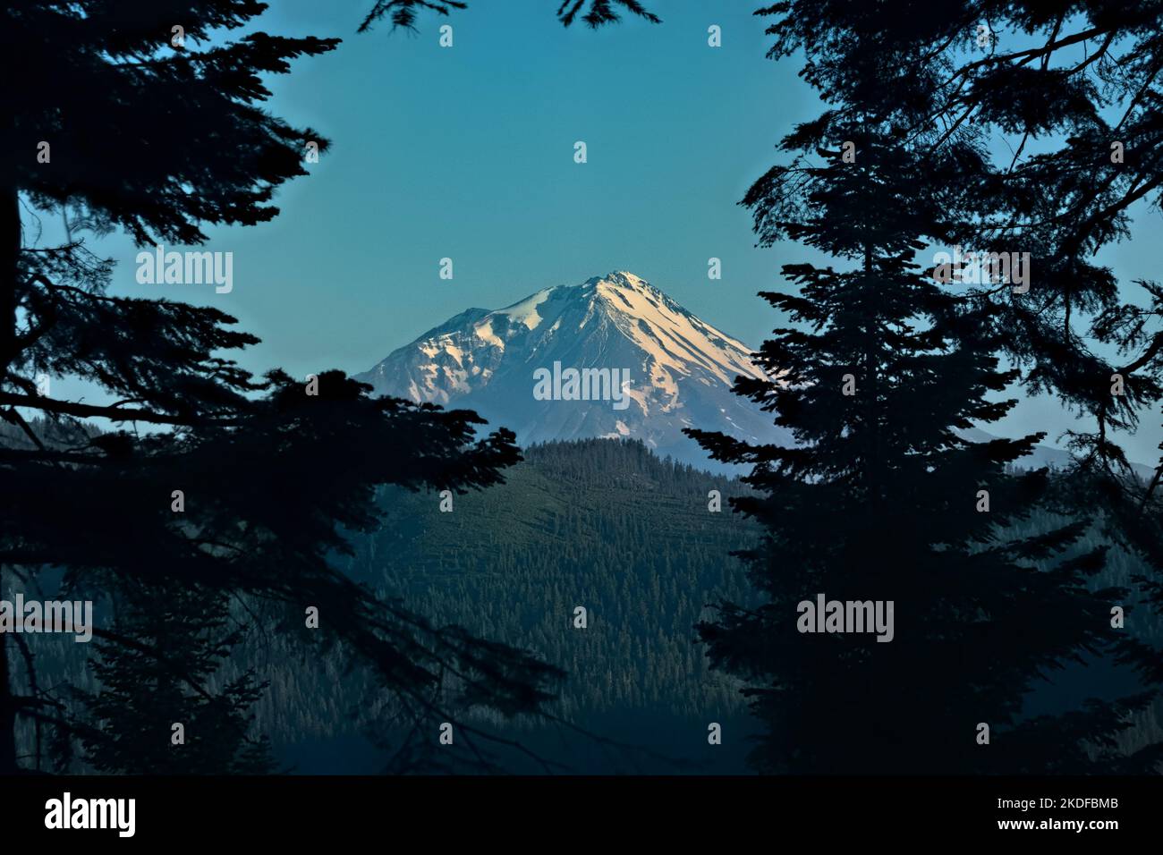 Mount Shasta view, Pacific Crest Trail, California, USA Stock Photo - Alamy